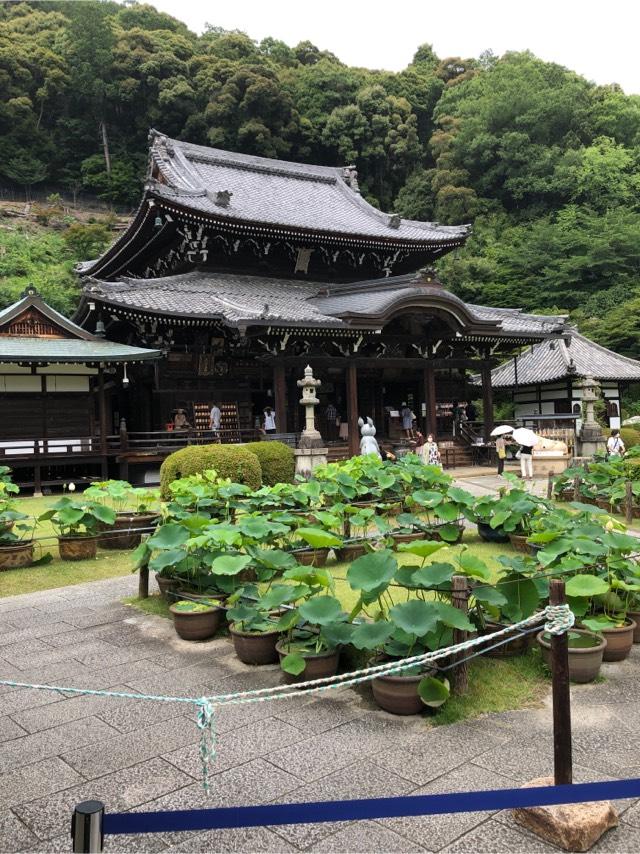 明星山 三室戸寺(西国第十番)の参拝記録6