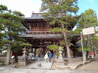 智恩寺の参拝記録(あやちきさん)