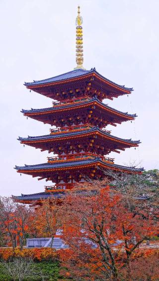 成相寺(西国第二十八番)の参拝記録(布袋大国さん)