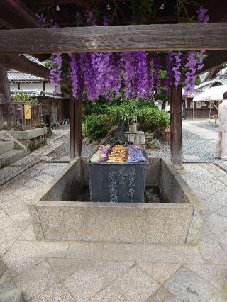 立願山 楊谷寺(柳谷観音)の参拝記録(おざりんさん)
