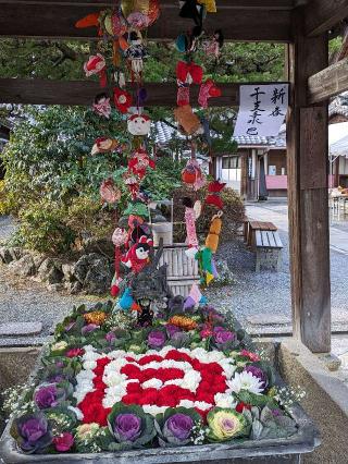 立願山 楊谷寺(柳谷観音)の参拝記録(たこやきさん)