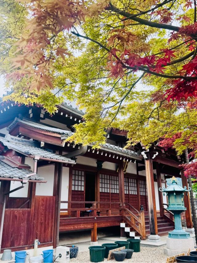 西福寺の参拝記録1