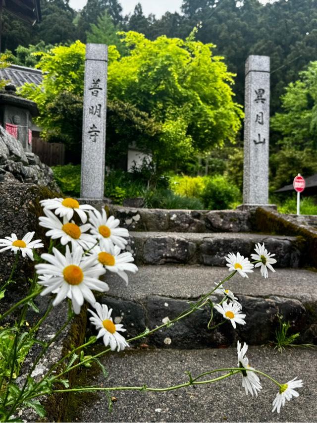 普明寺の写真1