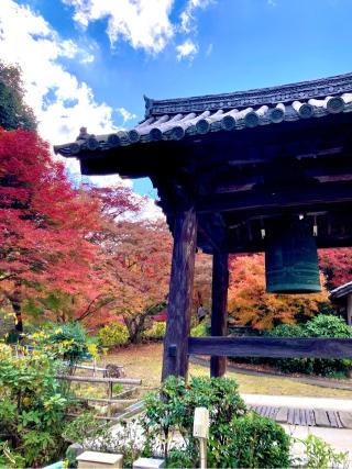 糸杉山 神應寺の参拝記録(フタバアオイさん)