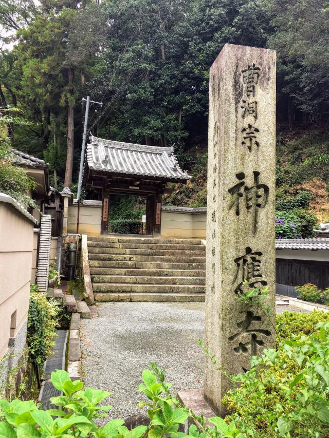 京都府八幡市八幡西高坊24 糸杉山 神應寺の写真2