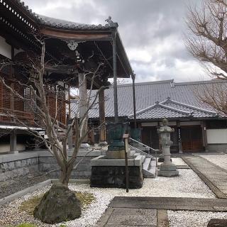 念仏寺の参拝記録(ワヲンさん)