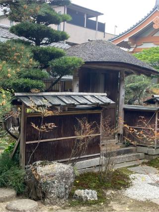 泰勝寺の参拝記録(フタバアオイさん)