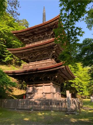 鹿原山 慈恩寺 金剛院の参拝記録(レリックさん)