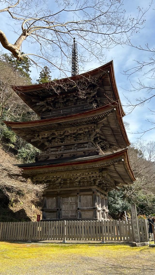 鹿原山 慈恩寺 金剛院の参拝記録7