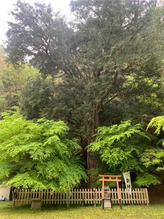 鹿原山 慈恩寺 金剛院の参拝記録(てるりんさん)