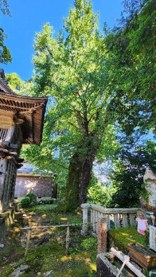 松尾寺(西国二十九番)の参拝記録(Noriさん)