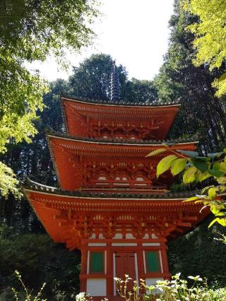 岩船寺の参拝記録(くまたろうさん)