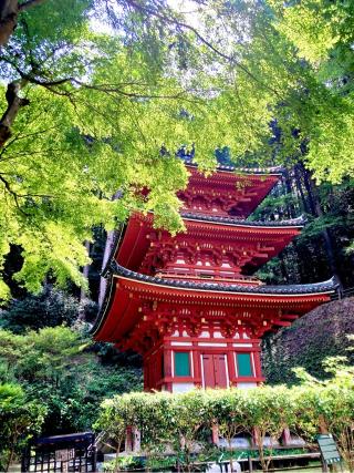 岩船寺の参拝記録(フタバアオイさん)