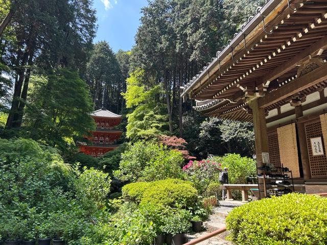 岩船寺の参拝記録7