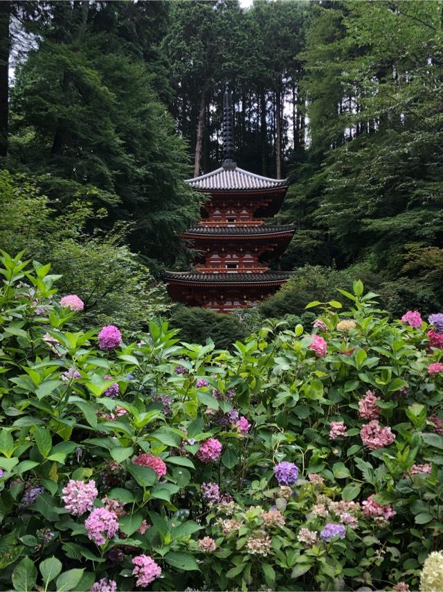 岩船寺の参拝記録1