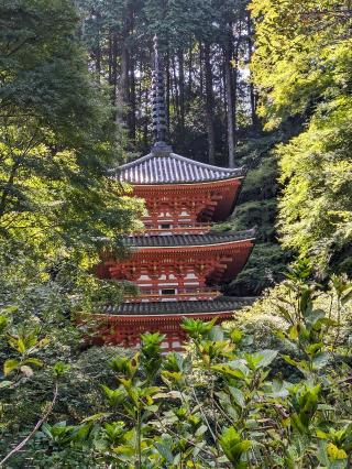 岩船寺の参拝記録(たこやきさん)