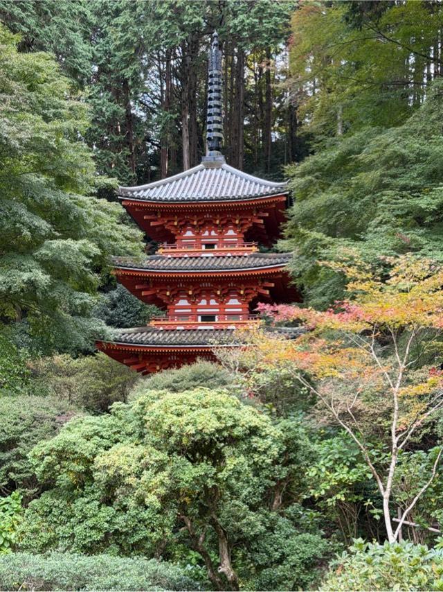 岩船寺の参拝記録7