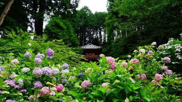 岩船寺の参拝記録6