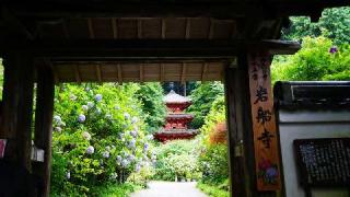 岩船寺の参拝記録(布袋大国さん)
