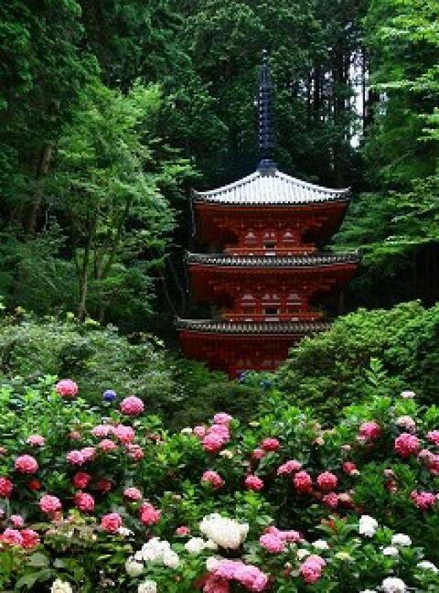 岩船寺の写真1