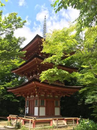 浄瑠璃寺の参拝記録(きんやさん)