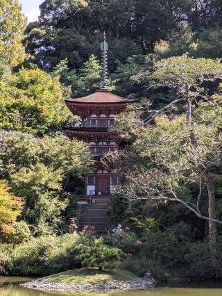浄瑠璃寺の参拝記録(たこやきさん)