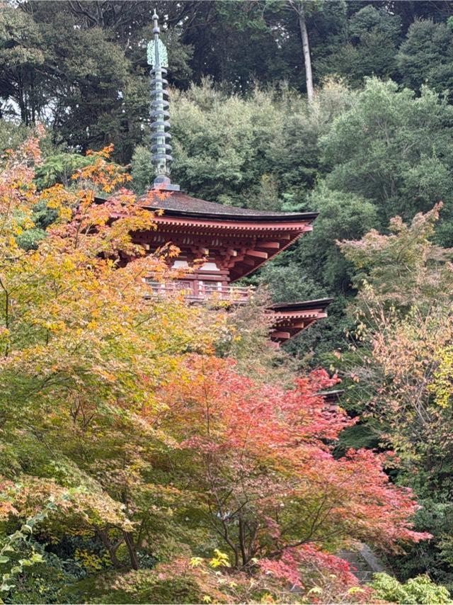 浄瑠璃寺の参拝記録7