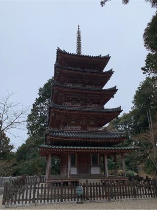 海住山寺の参拝記録(はまちゃんさん)