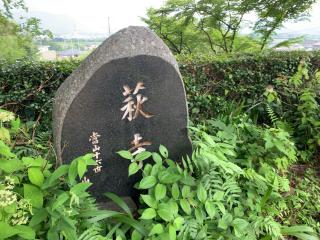 養泉寺の参拝記録(じゃいあんさん)