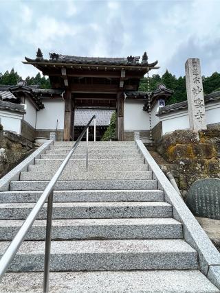 妙雲寺の参拝記録(コバルトブルーさん)