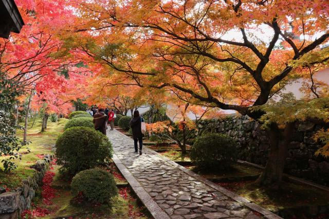 京都府京田辺市薪里ノ内102 酬恩庵(一休寺)の写真2