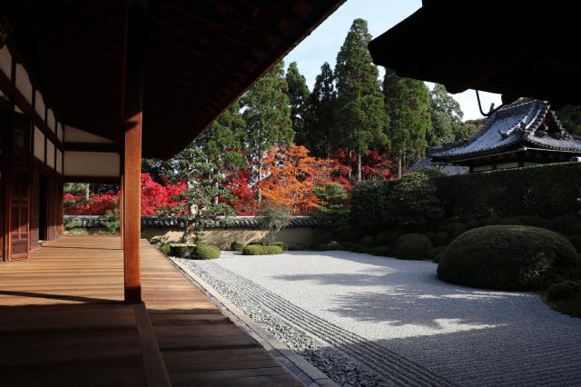 京都府京田辺市薪里ノ内102 酬恩庵(一休寺)の写真3