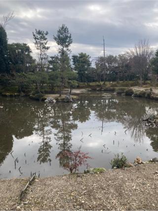 法金剛院の参拝記録(フタバアオイさん)