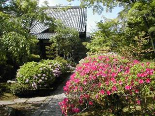 大法院の参拝記録(厚司さん)