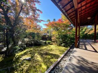 大法院の参拝記録(さくらさん)