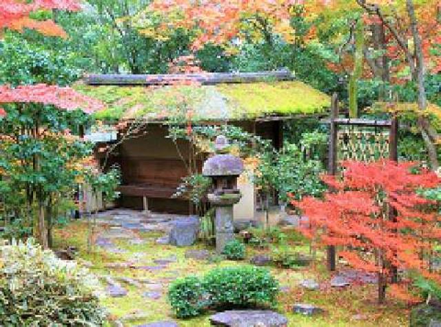 京都府京都市右京区花園大藪町20 大法院の写真2