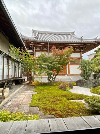 長興院の参拝記録(さくらさん)