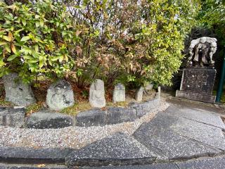 長興院の参拝記録(さくらさん)