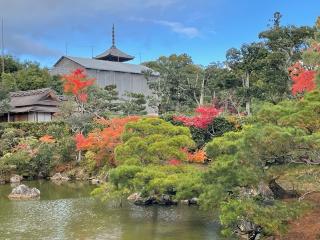 大内山 仁和寺の参拝記録(たつさん)