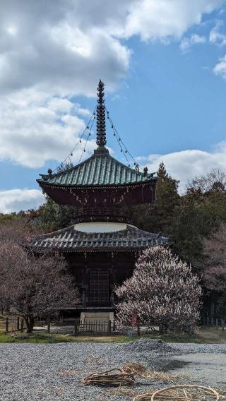 五台山 清凉寺(嵯峨釈迦堂)の参拝記録(えのさんさん)