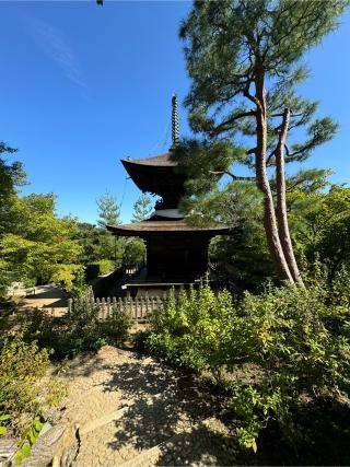 常寂光寺の参拝記録(はちさん)