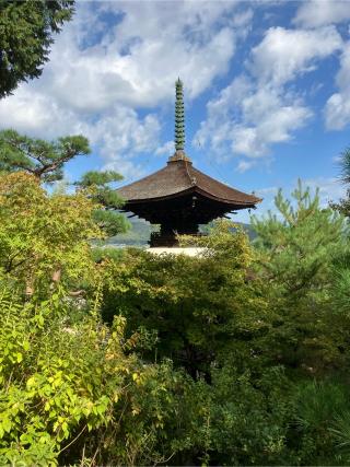 常寂光寺の参拝記録(senwayさん)