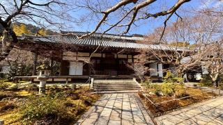 常寂光寺の参拝記録(いのっちさん)