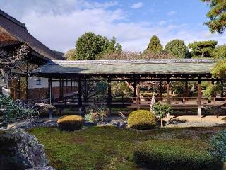 嵯峨山 大覚寺(旧嵯峨御所大覚寺門跡)の参拝記録(ペドロ蟲さん)
