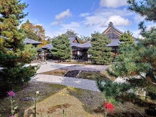 嵯峨山 大覚寺(旧嵯峨御所大覚寺門跡)の参拝記録(ペドロ蟲さん)