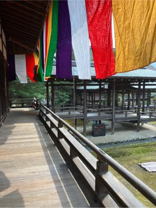 嵯峨山 大覚寺(旧嵯峨御所大覚寺門跡)の参拝記録(senwayさん)