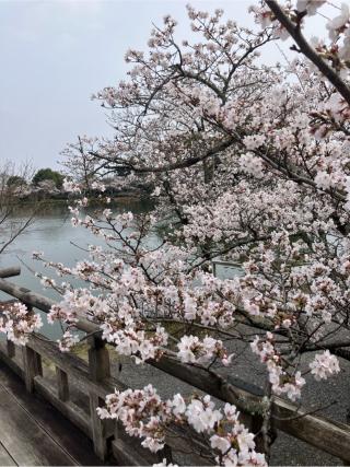嵯峨山 大覚寺(旧嵯峨御所大覚寺門跡)の参拝記録(senwayさん)