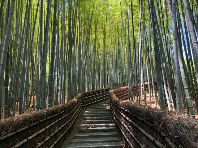 京都府京都市右京区嵯峨鳥居本化野町17 華西山 東漸院 念仏寺(化野念仏寺)の写真12