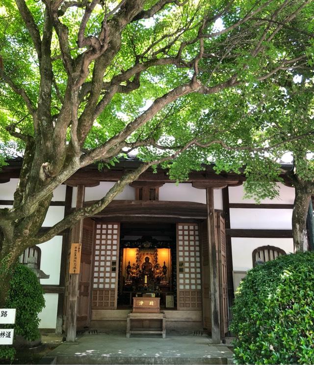 京都府京都市右京区嵯峨鳥居本化野町17 華西山 東漸院 念仏寺(化野念仏寺)の写真15