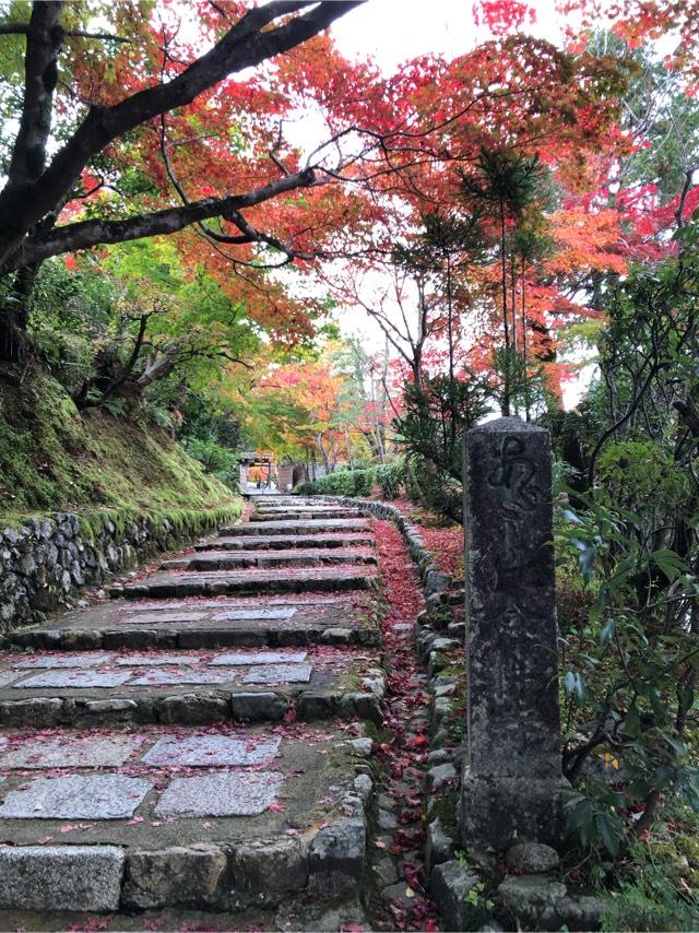 華西山 東漸院 念仏寺(化野念仏寺)の参拝記録1